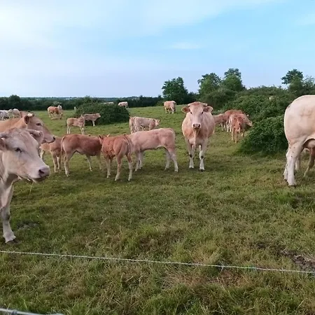 2 A 4 Personnes, 12 Kilometres Du Parc Du Puy Du F * La Verrie