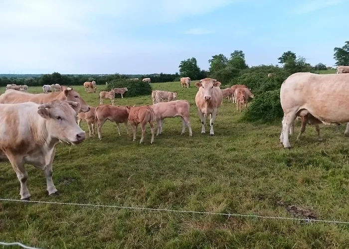 2 A 4 Personnes, 12 Kilometres Du Parc Du Puy Du F * La Verrie